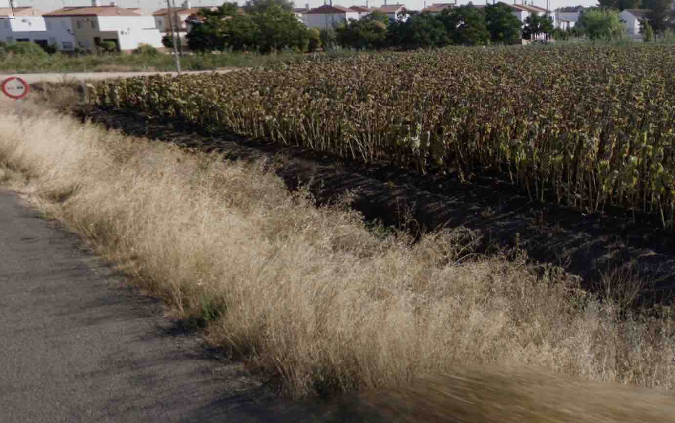 Entrada a la pedanía palaciega de Trajano, en una imagen de Google Maps.