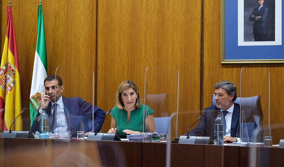 La consejera de Empleo, Formación y Trabajo Autónomo, Rocío Blanco, compareciendo este jueves en comisión parlamentaria.