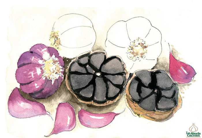 ILUSTRACIÓN: MANUEL VAQUERO