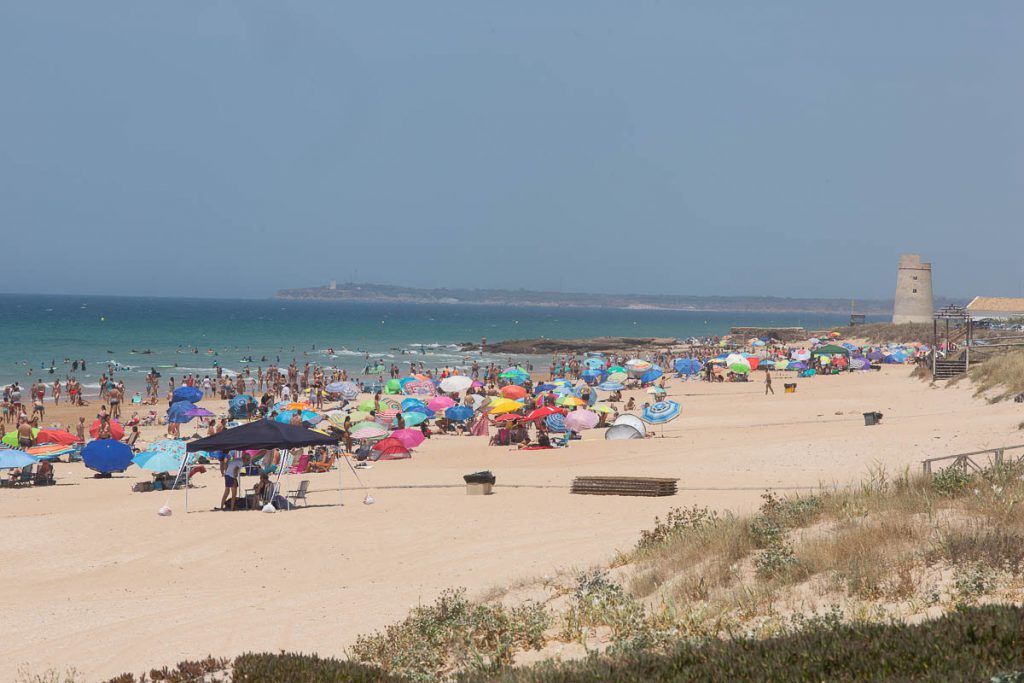La playa de El Palmar, en la provincia de Cádiz este verano. FOTO: JUAN CARLOS TORO 