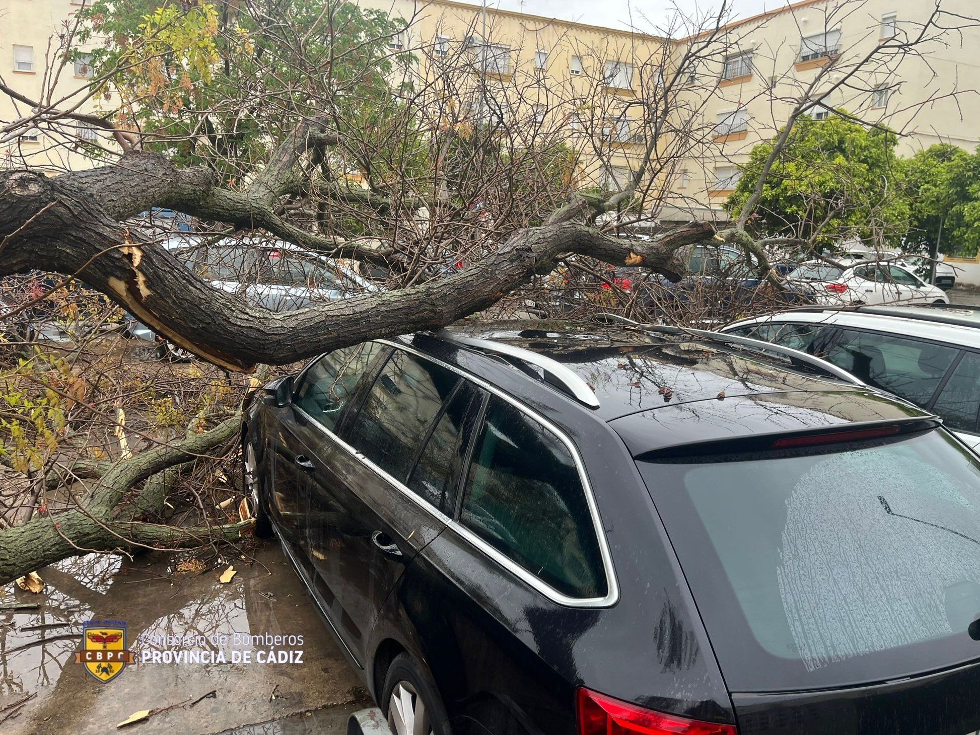 Imagen de archivo de las consecuencias del fuerte viento en un temporal pasado en Jerez.
