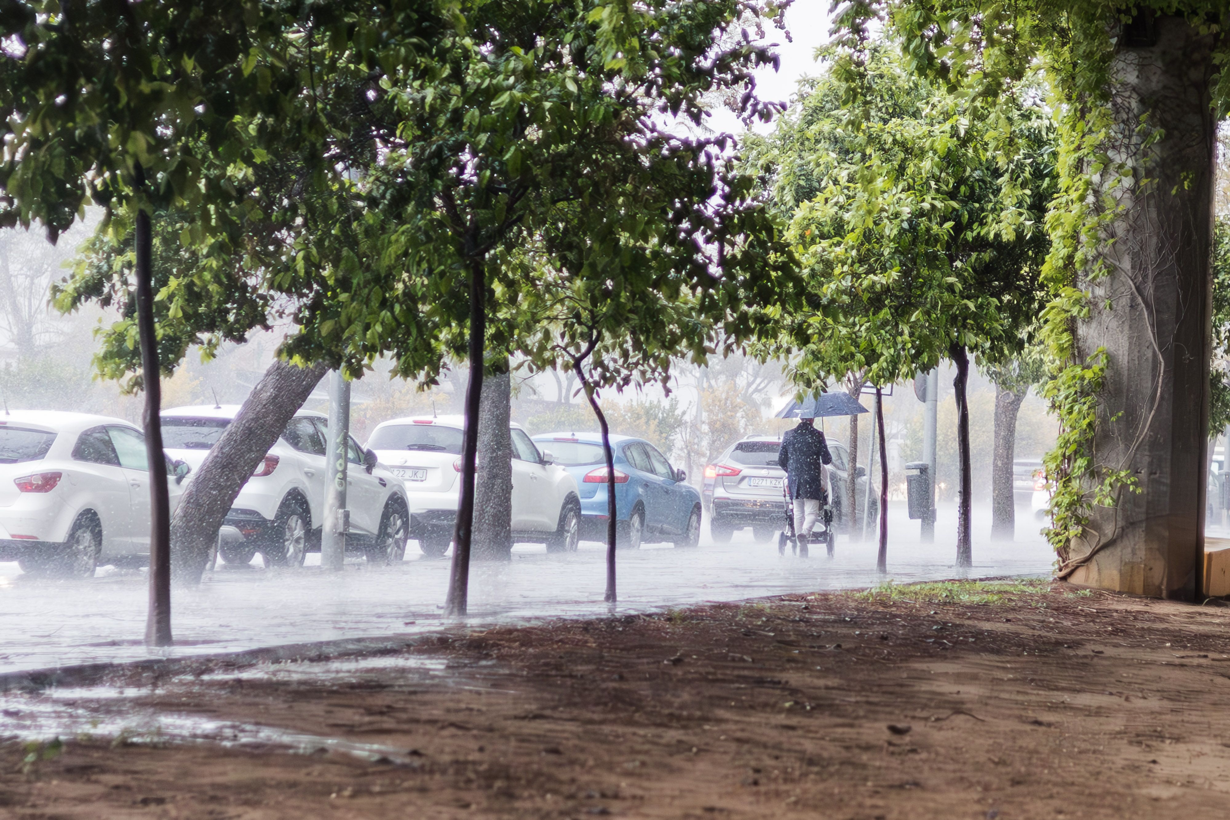 Fuertes lluvias en Jerez, en una imagen reciente. Fuertes lluvias en Jerez, en una imagen reciente.