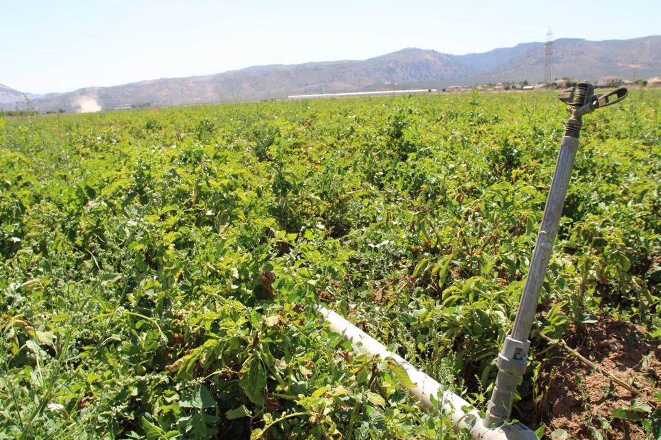 placas solares y tierras 1