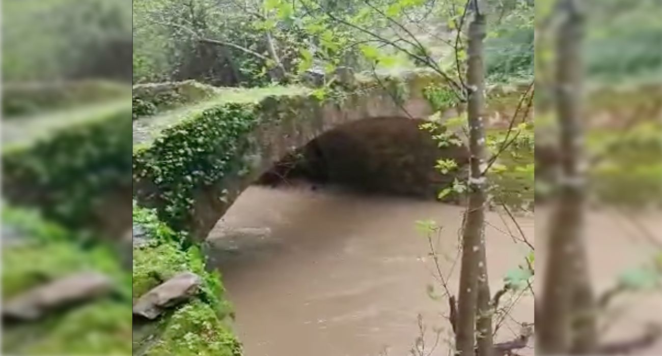 El arroyo Garganta Verde, a su paso por el puente de Los Palominos.   JUAN JOSÉ BARROSO