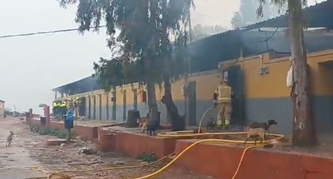 Imagen del incendio en una residencia canina de Málaga.