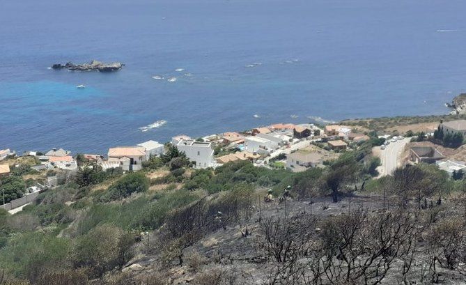 Estado de la vegetación tras el incendio declarado en Algeciras.
