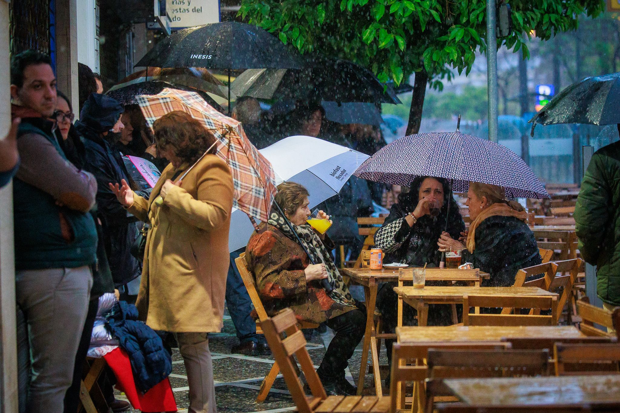 Agua. Una imagen de las lluvias de la pasada semana en el centro de Jerez.