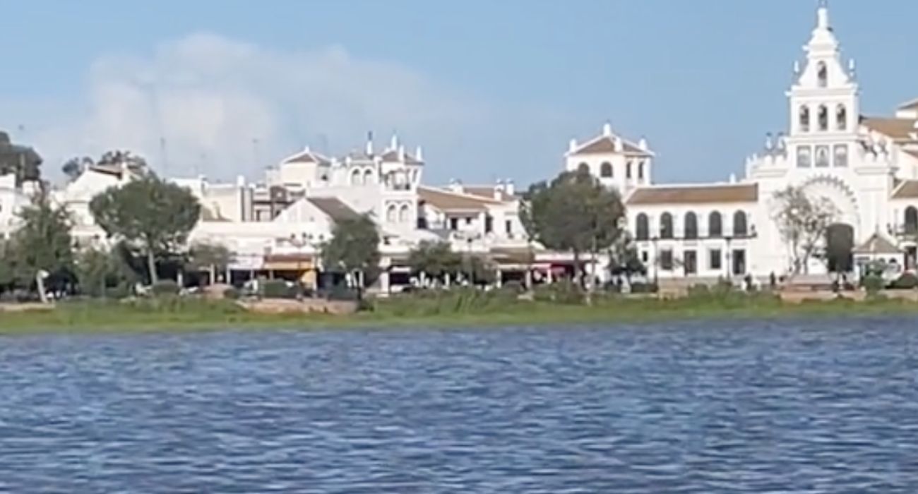 Aspecto de Doñana tras las últimas lluvias.