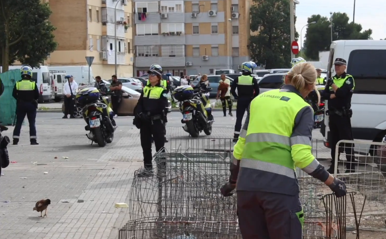 Un momento de la operación contra las peleas de gallos en Sevilla.