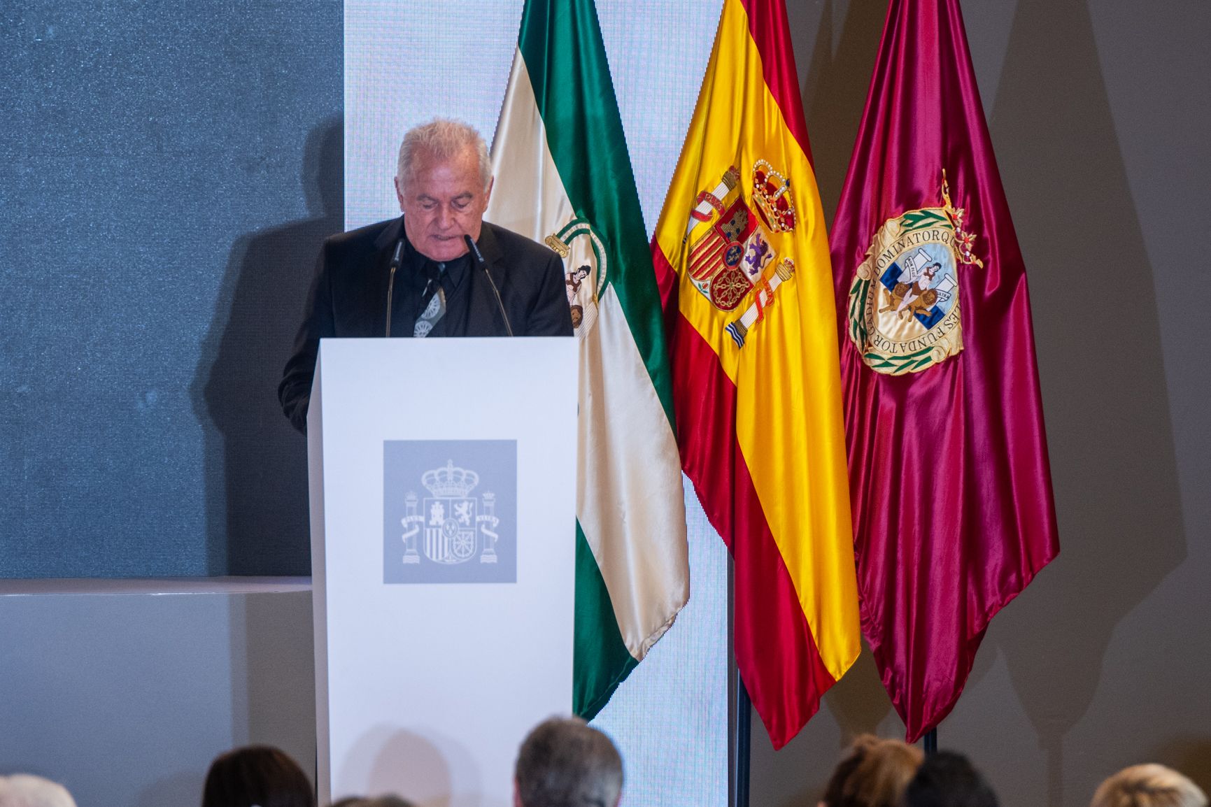 Los reyes entregan las Medallas de Oro al Mérito en las Bellas Artes en Cádiz