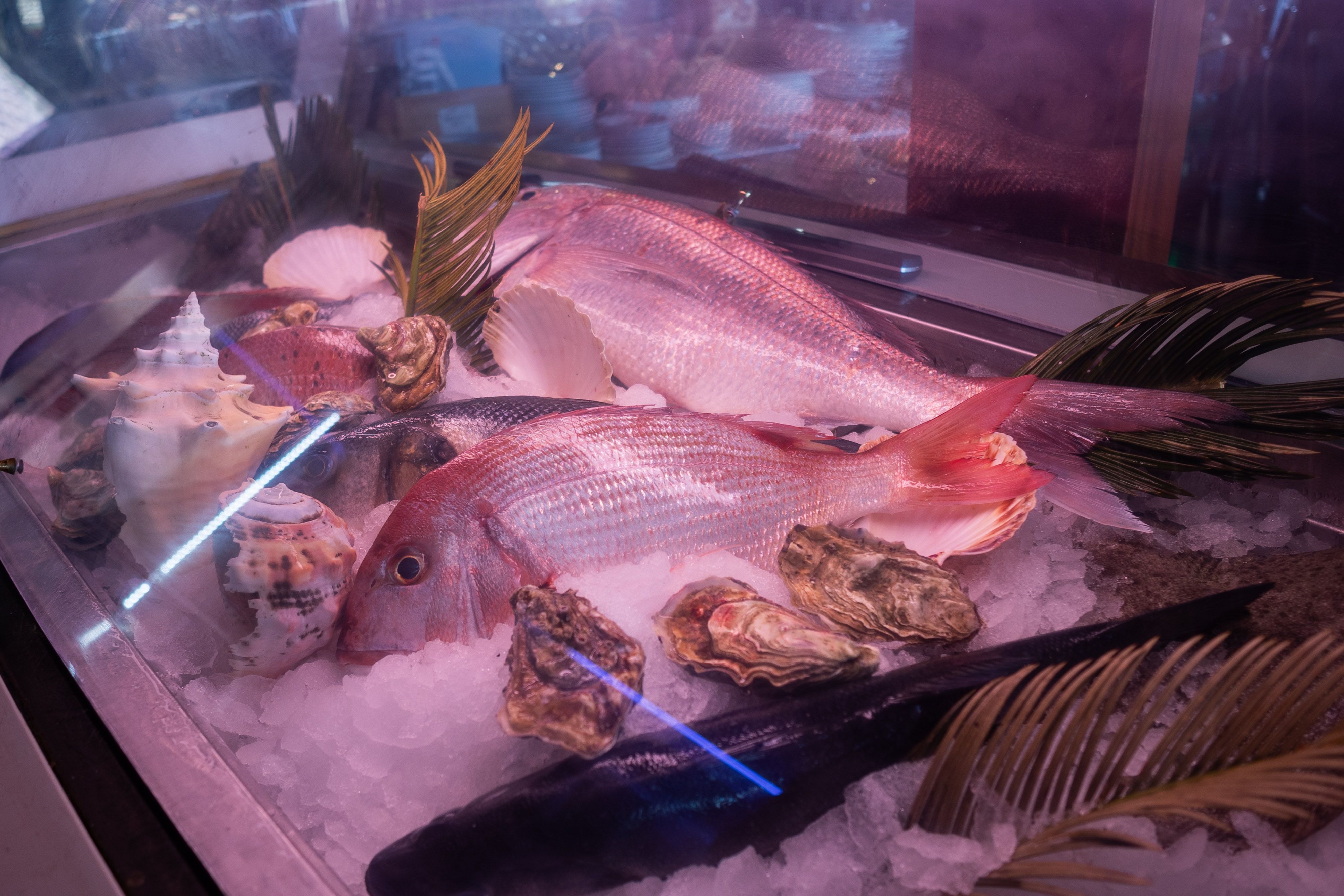 Restaurante El Timón en Roche