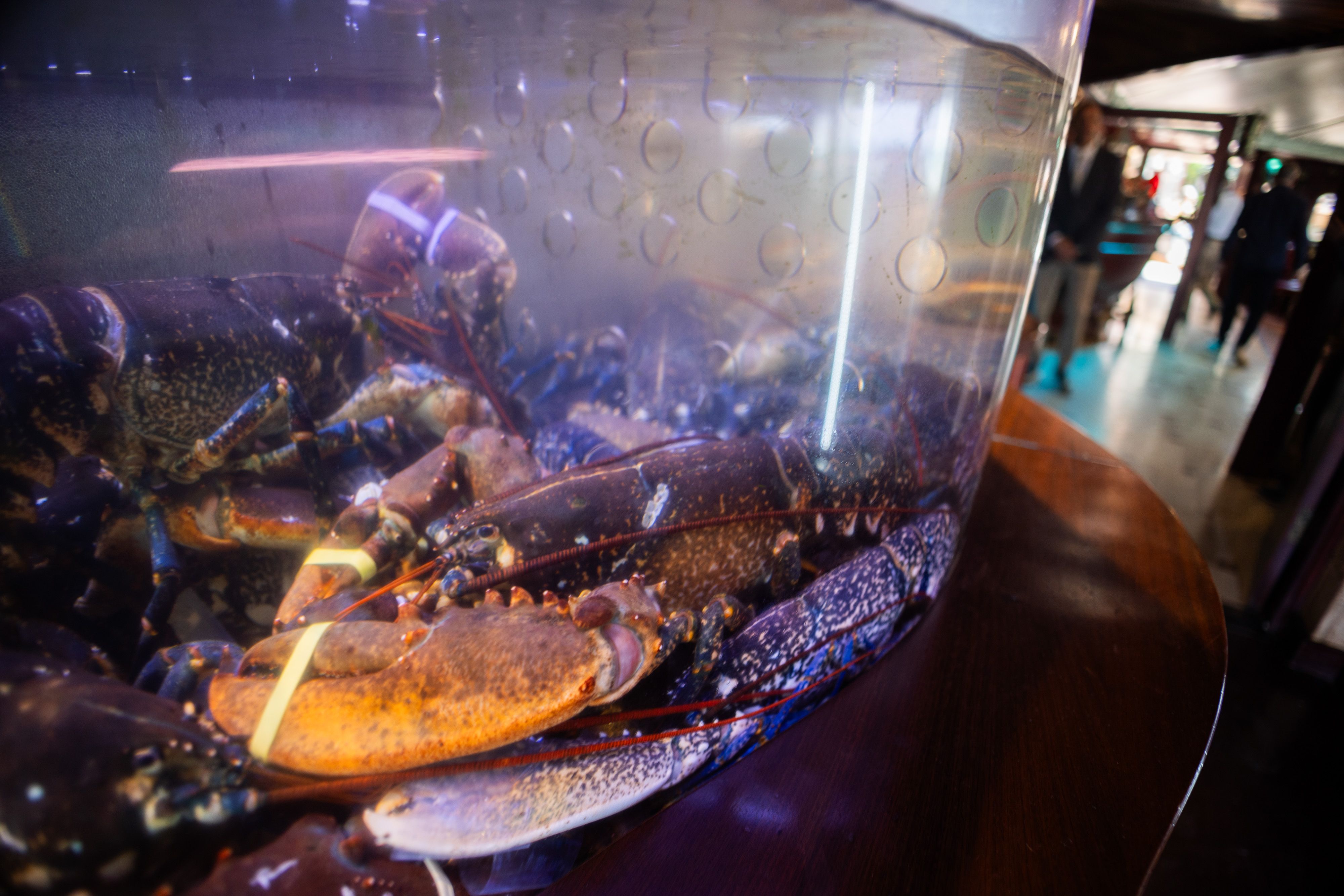 Restaurante El Timón en Roche