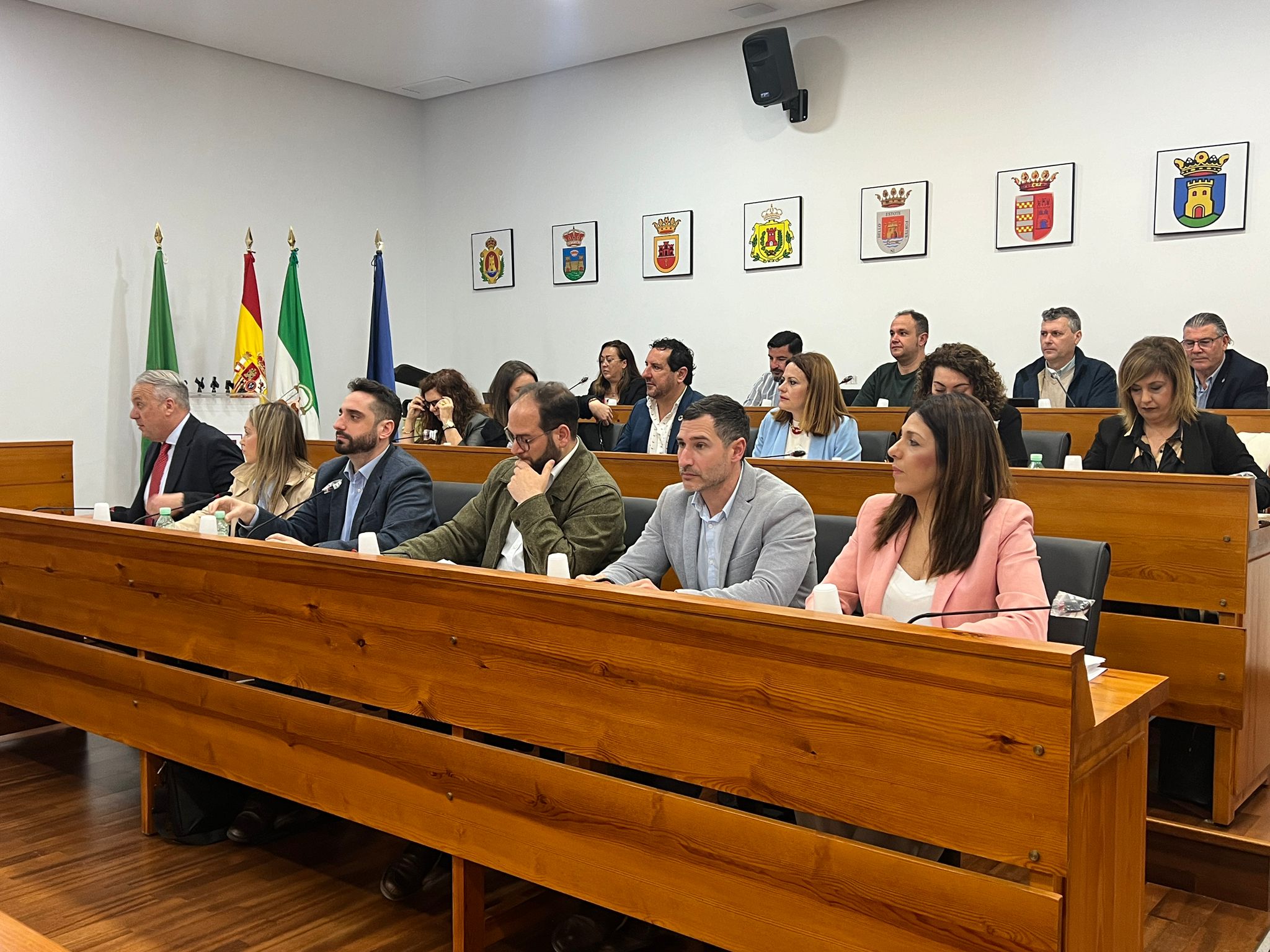 La bancada del PSOE, en el pleno de la mancomunidad del Campo de Gibraltar, este viernes.