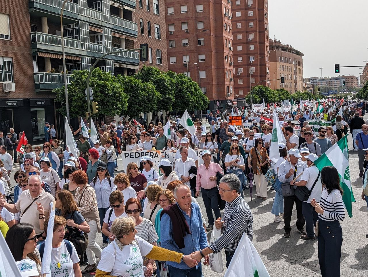 Una de las manifestaciones en defensa de la sanidad realizadas en Andalucía.