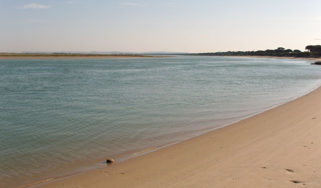 El río San Pedro, en una imagen de archivo. FOTO: WIKIMEDIA