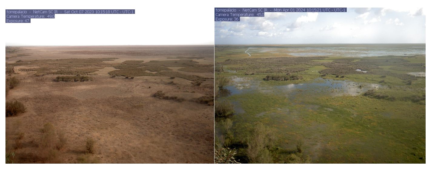 La vista desde la torre del Palacio de Doñana, en octubre del 23 y este 1 de abril, tras las lluvias. La vista desde la torre del Palacio de Doñana, en octubre del 23 y este 1 de abril, tras las lluvias.