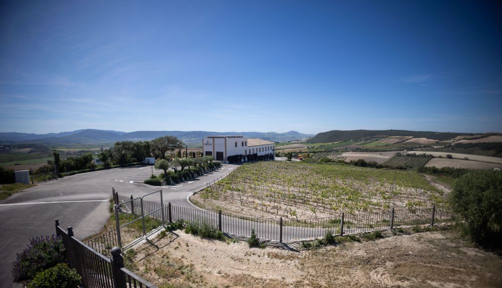 Vistas desde las bodegas Campestral.