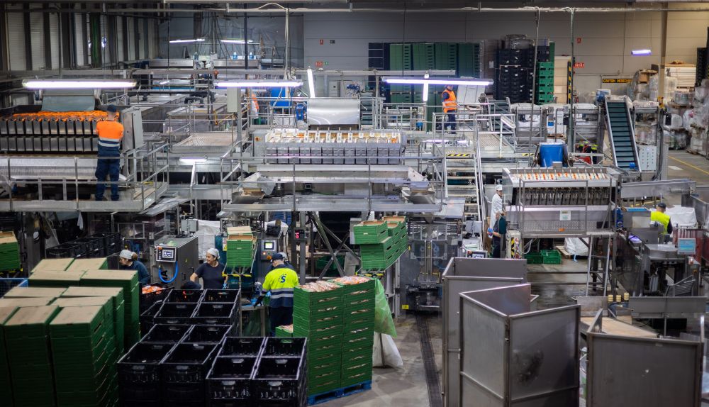 Zona de envasado en las instalaciones de Arcoval.