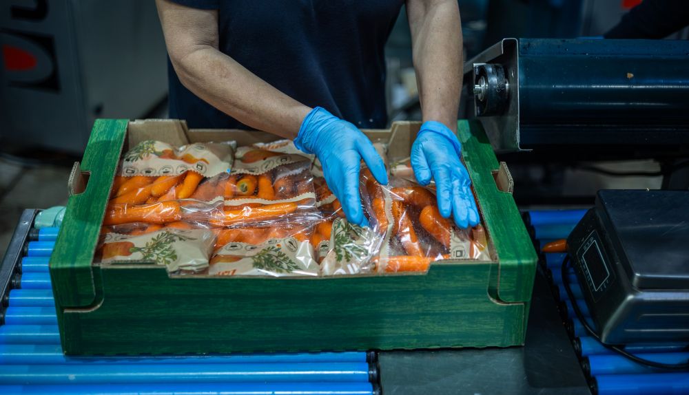 Detalle del envasado.