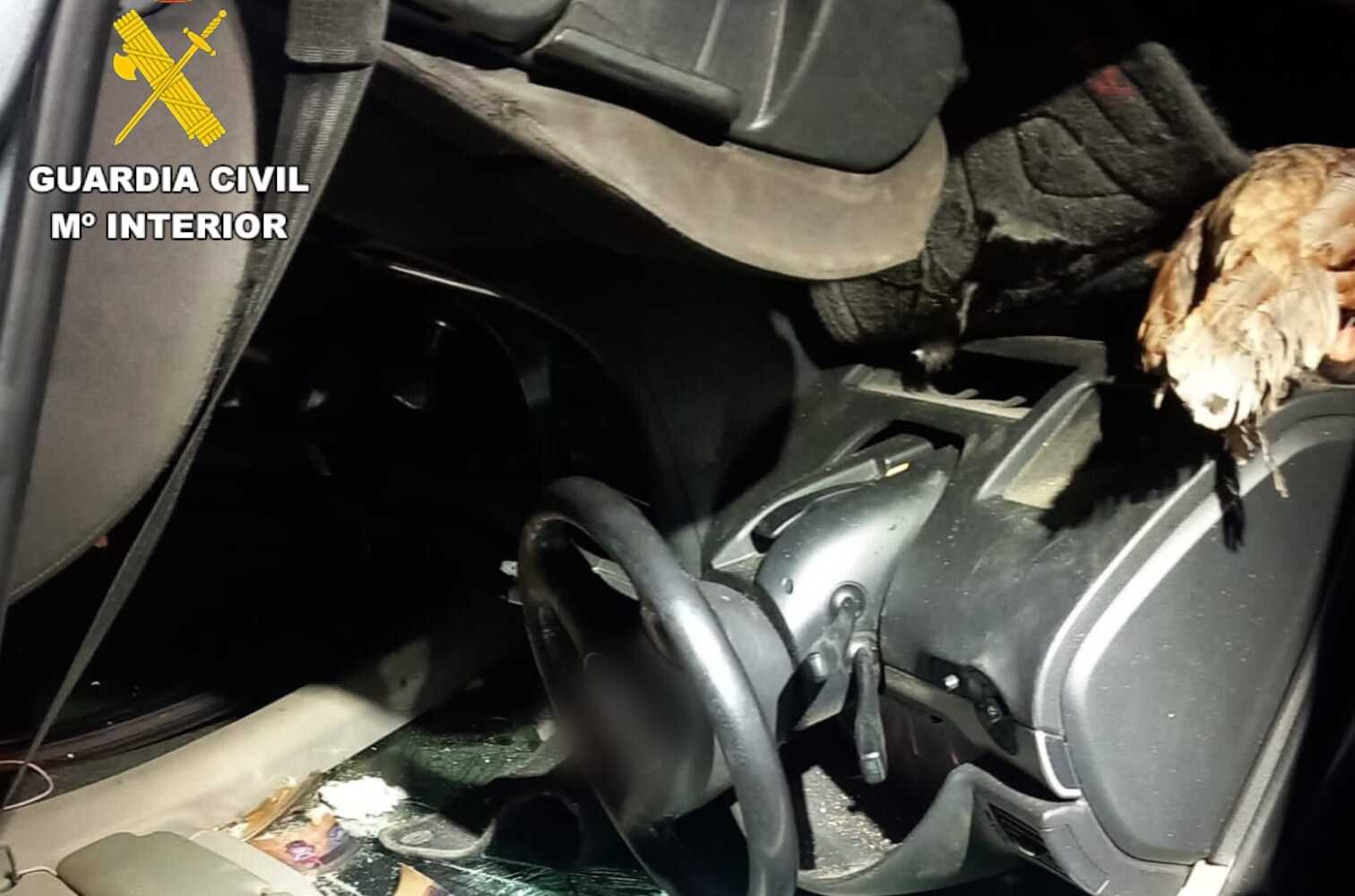 Estado en que quedó el vehículo tras el accidente, con varios gallos y gallinas fallecidos.