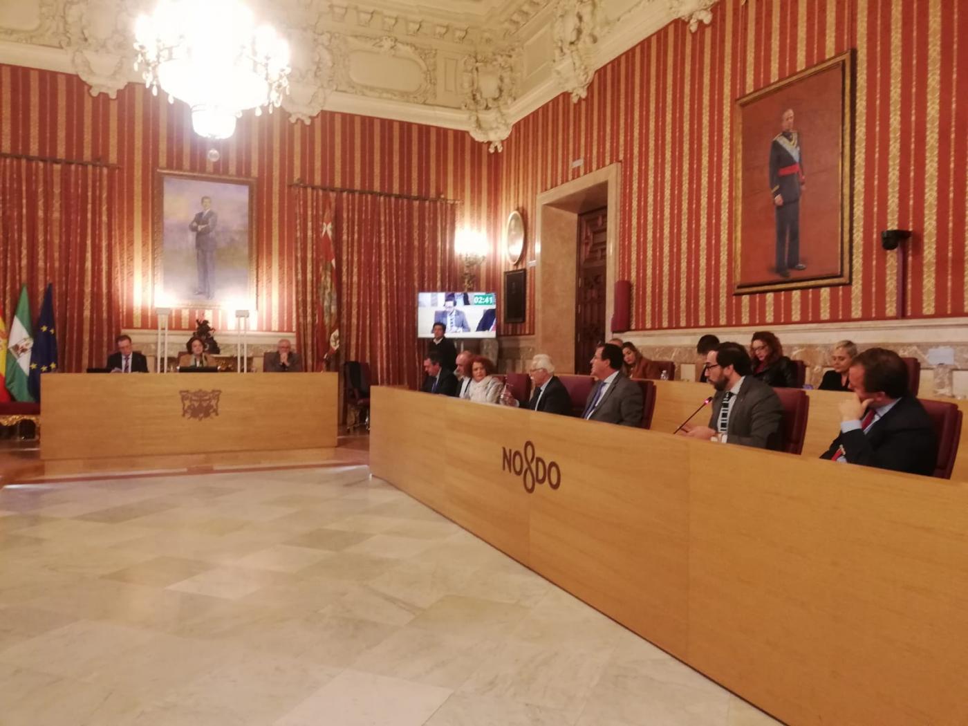 Pleno Ayuntamiento de Sevilla. Foto: Ayuntamiento de Sevilla