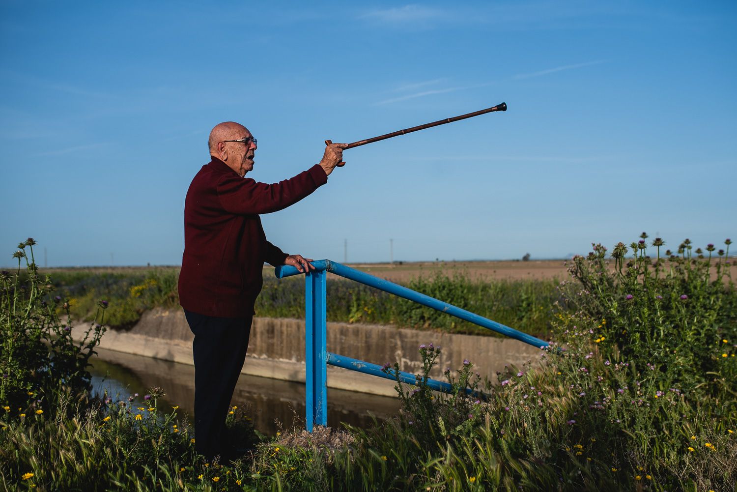 ROQUE FOTOGRAFO LOS PALACIOS 18