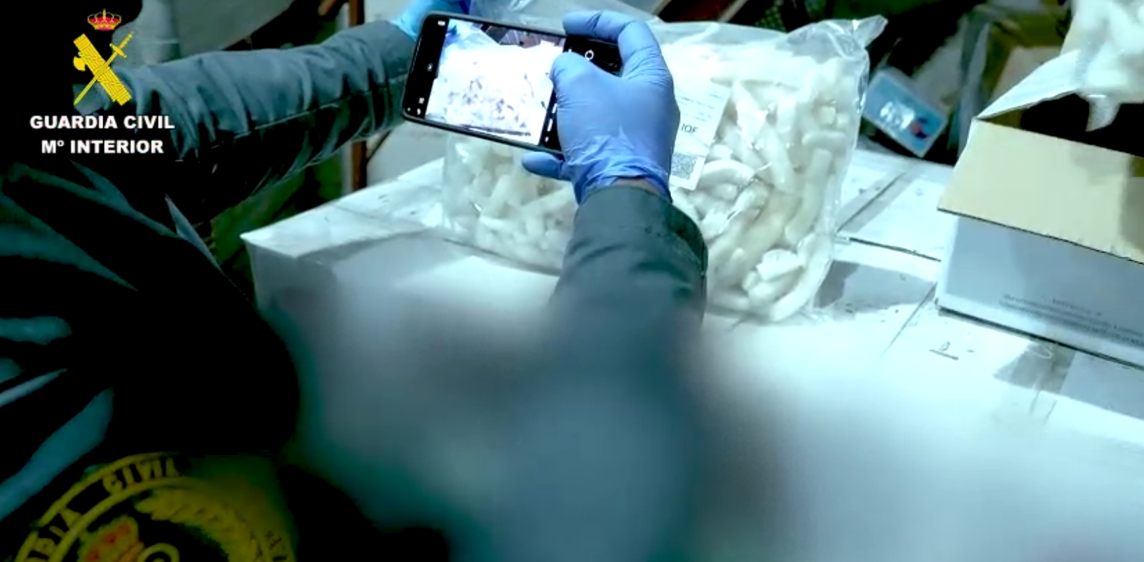 Imagen de uno de los lotes de pescado vencido.