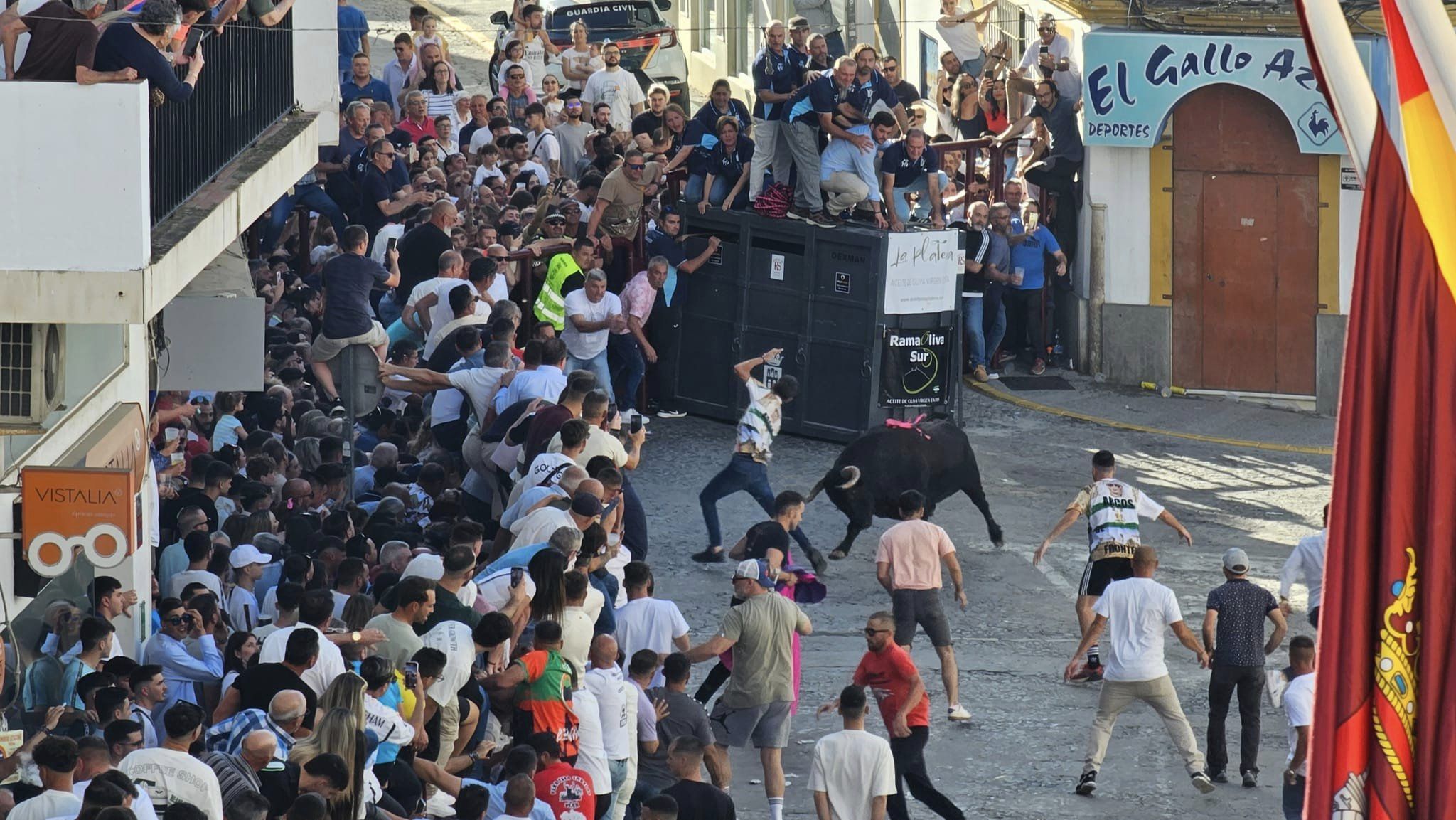 El sábado del Toro del Aleluya, en imágenes.