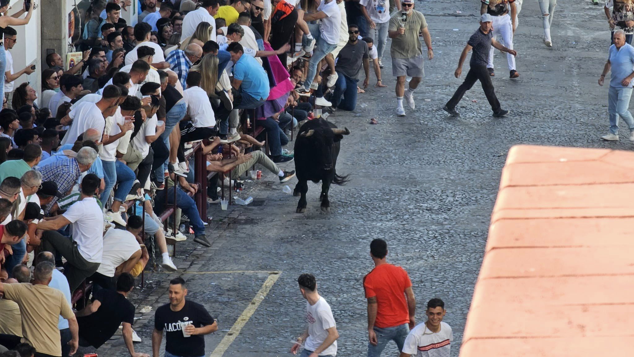 El sábado del Toro del Aleluya, en imágenes.