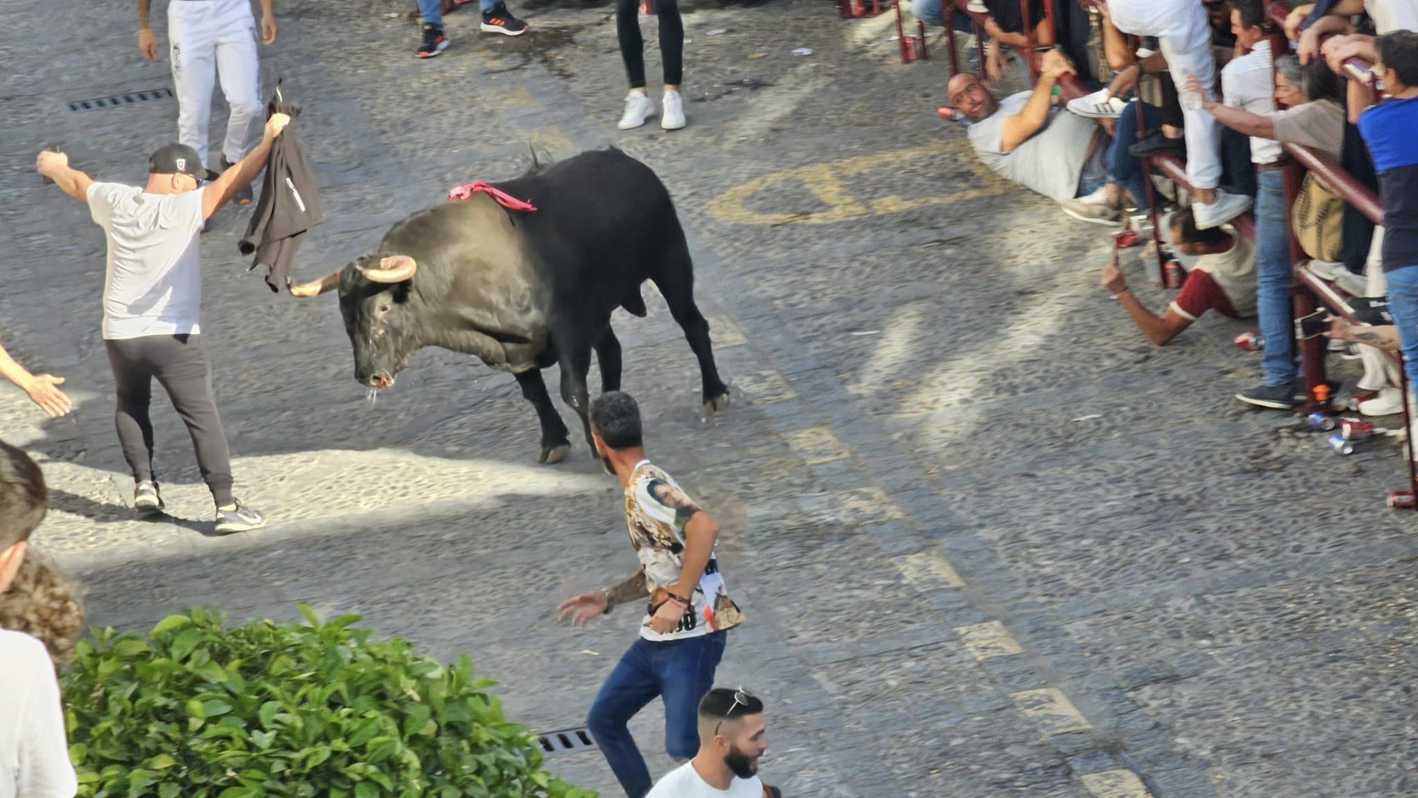 El sábado del Toro del Aleluya, en imágenes.