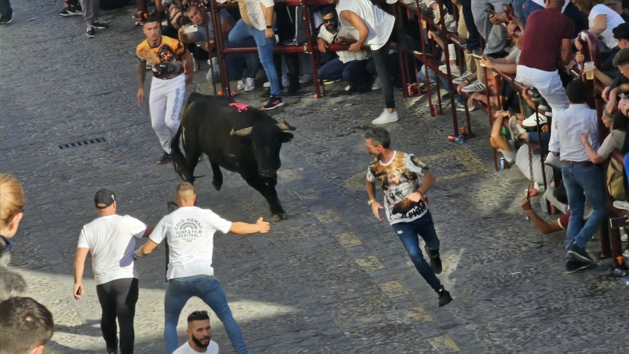 El sábado del Toro del Aleluya, en imágenes.