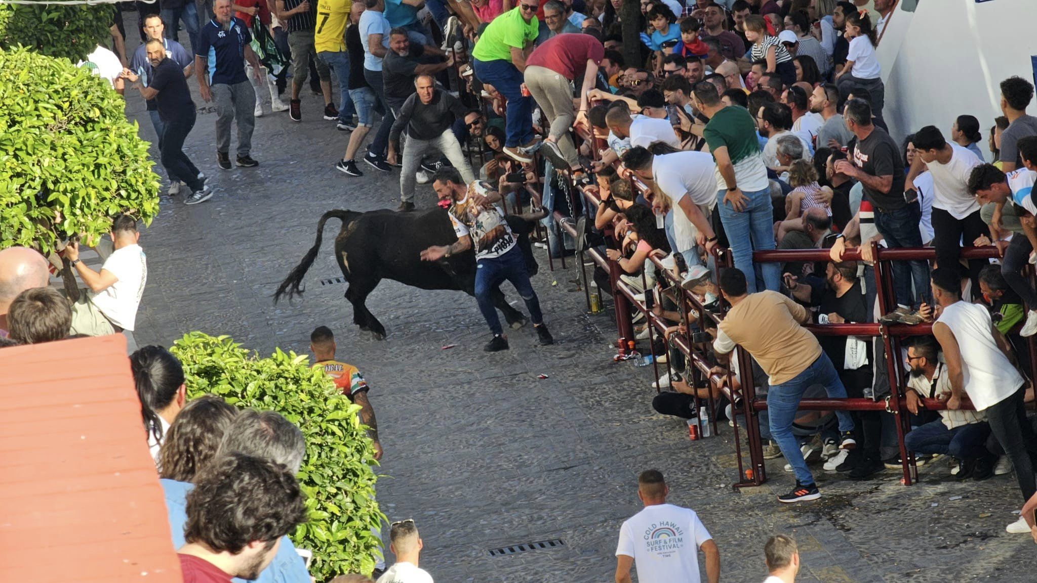 El sábado del Toro del Aleluya, en imágenes.