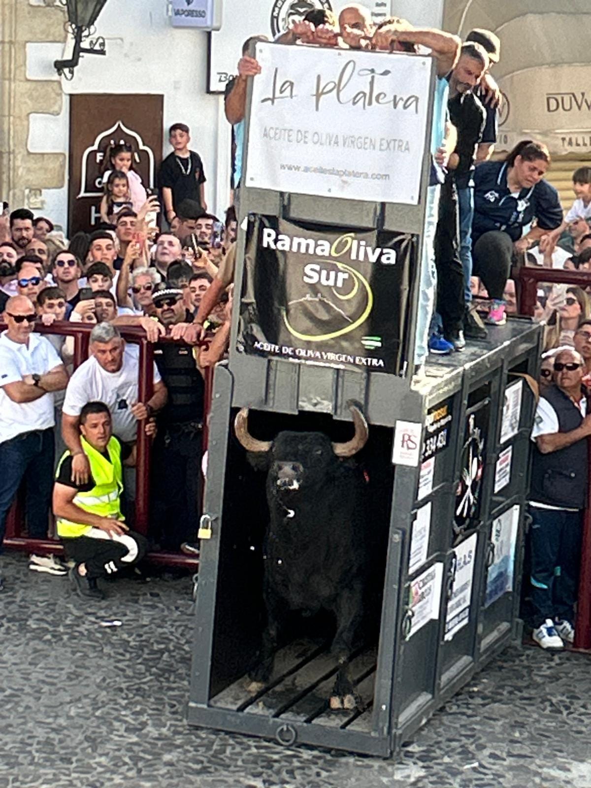 El sábado del Toro del Aleluya, en imágenes.