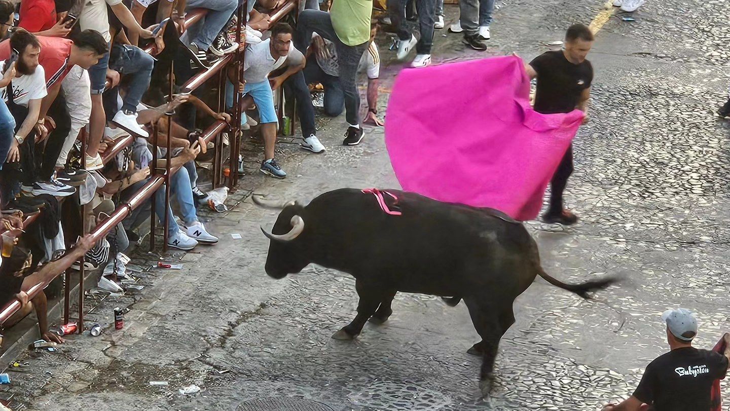 El sábado del Toro del Aleluya, en imágenes.