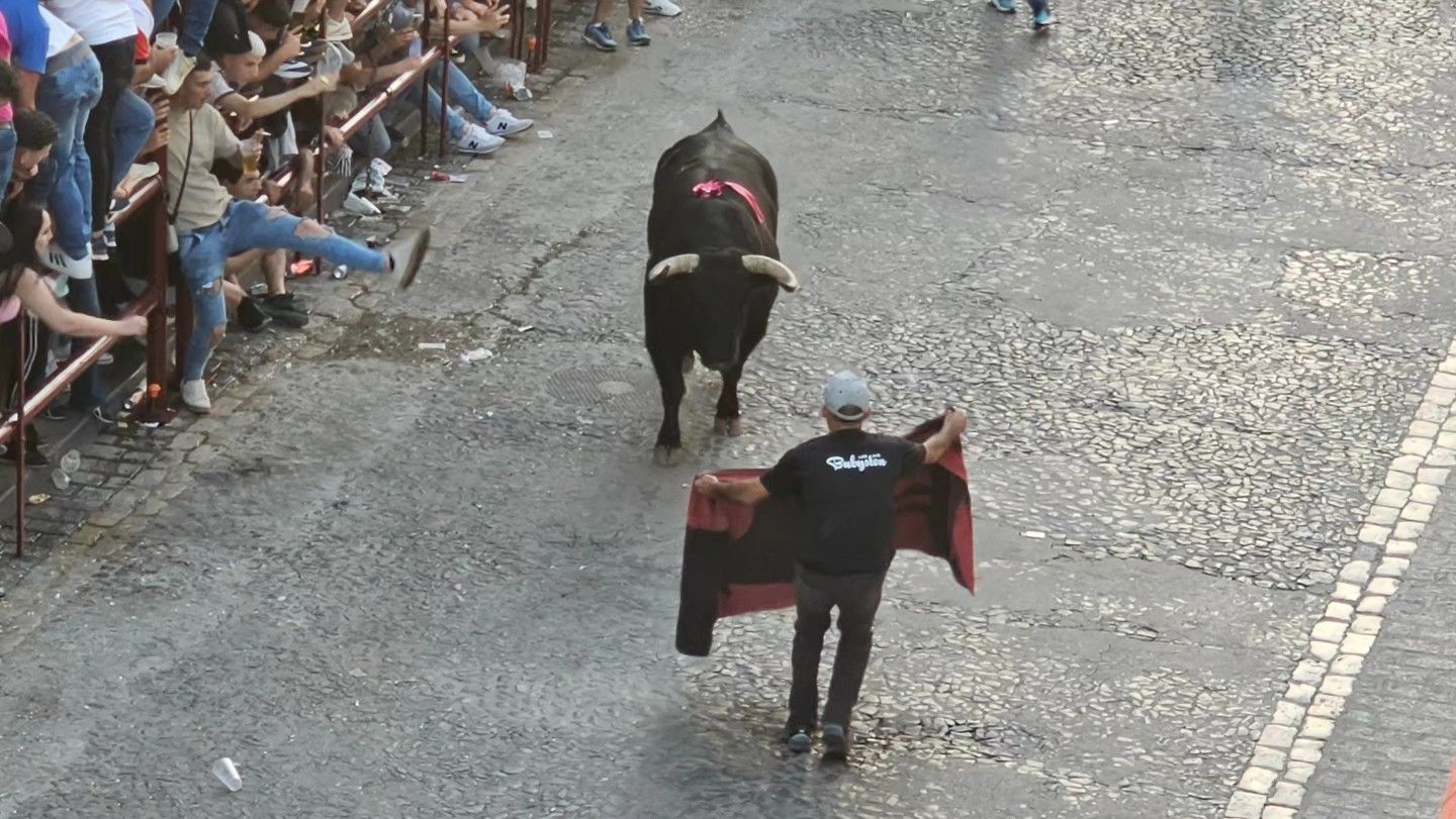 El sábado del Toro del Aleluya, en imágenes.