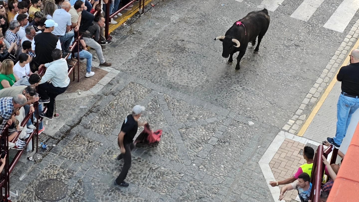 El sábado del Toro del Aleluya, en imágenes.