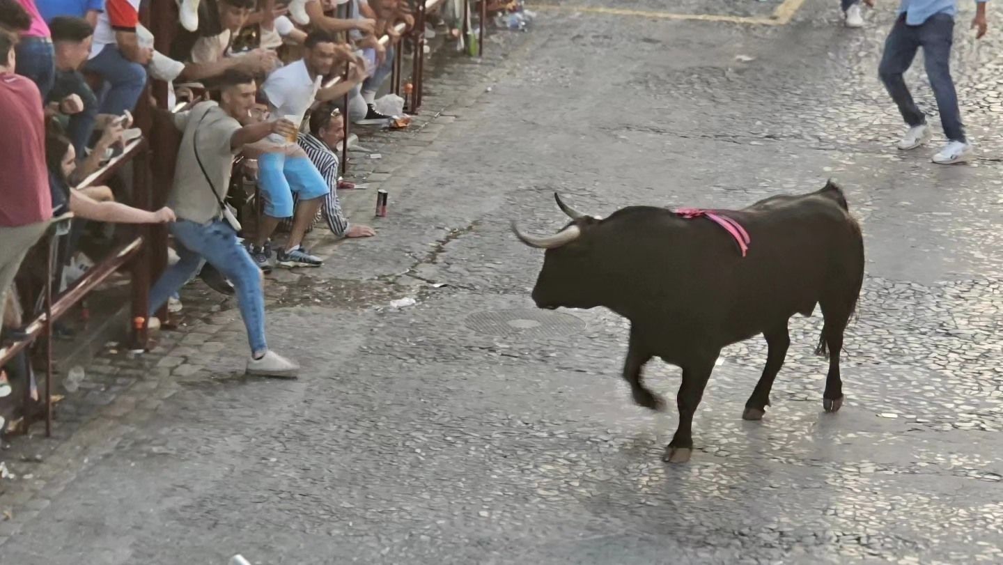 El sábado del Toro del Aleluya, en imágenes.