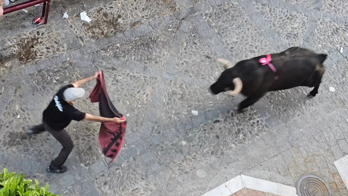 El sábado del Toro del Aleluya, en imágenes.