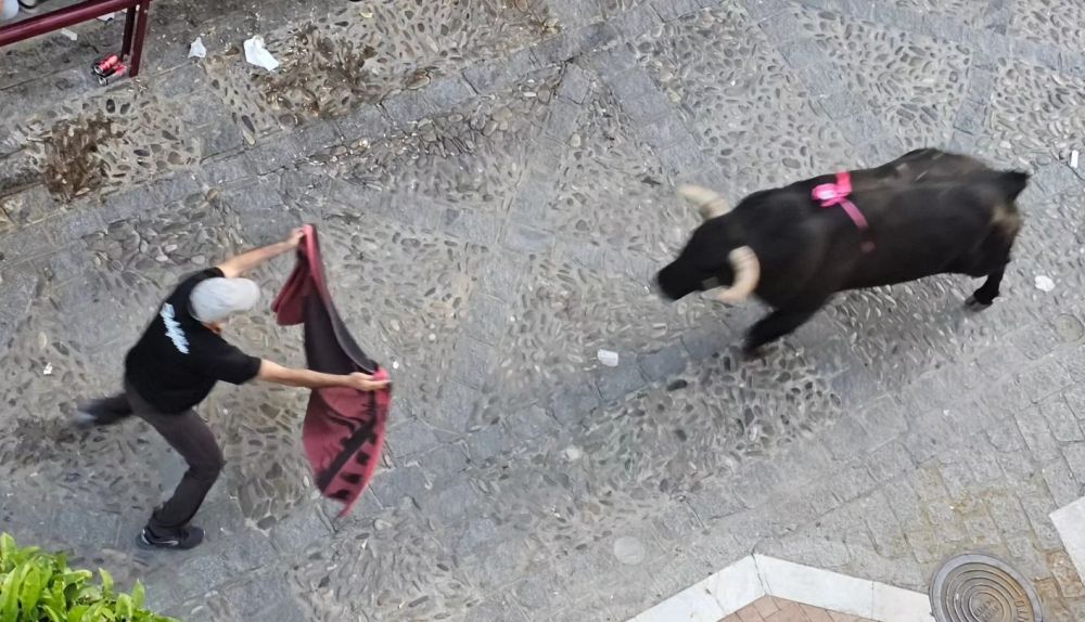 El sábado del Toro del Aleluya, en imágenes.