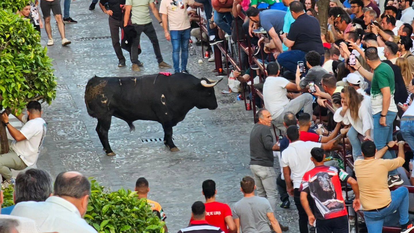 El sábado del Toro del Aleluya, en imágenes.