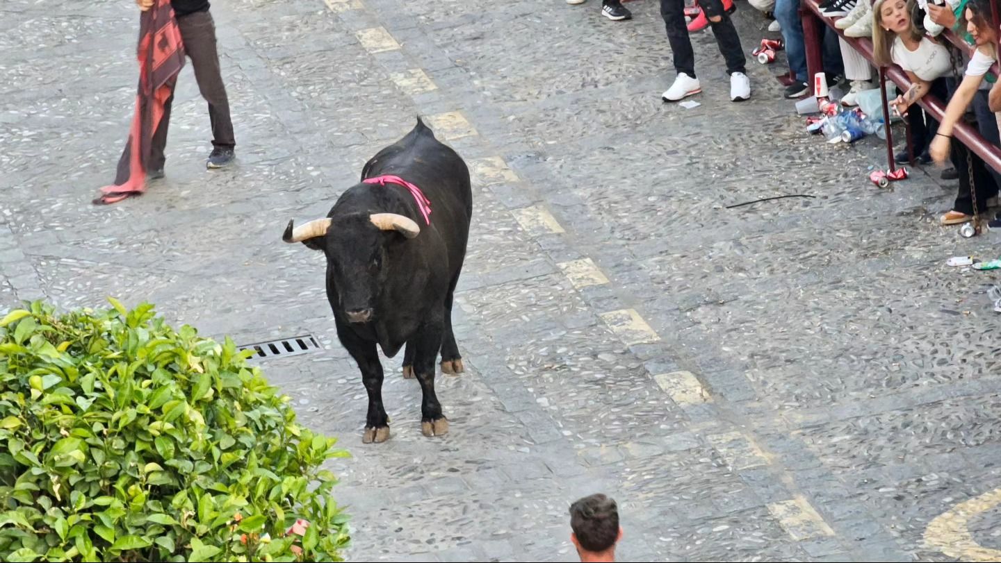 El sábado del Toro del Aleluya, en imágenes.