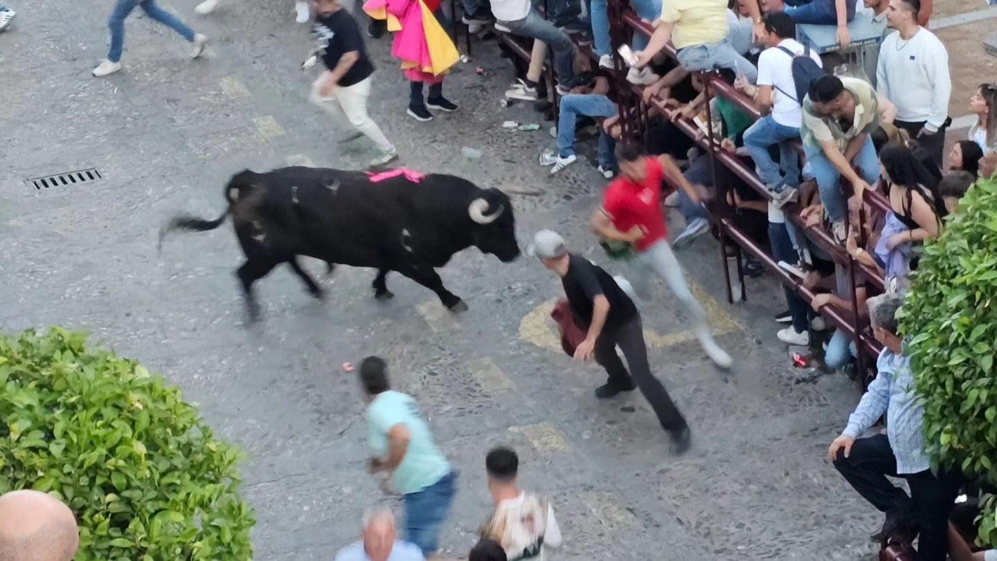 El sábado del Toro del Aleluya, en imágenes.