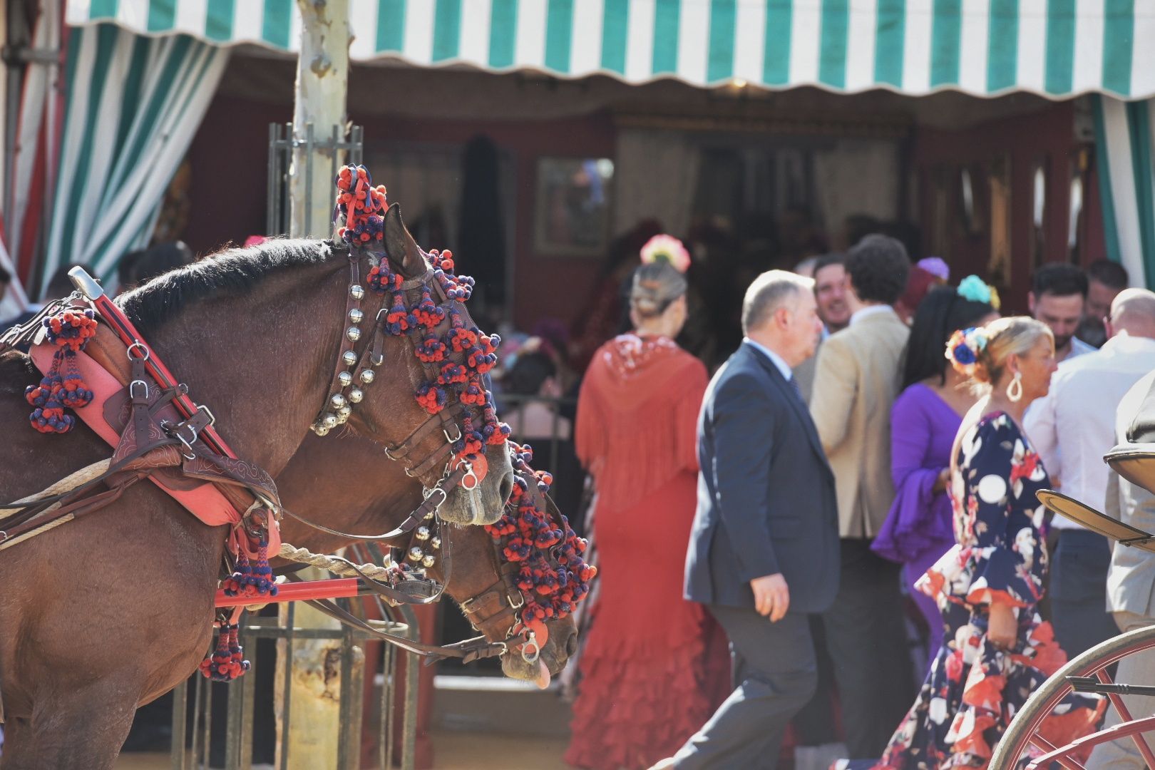 Un caballo en la Feria de Sevilla.