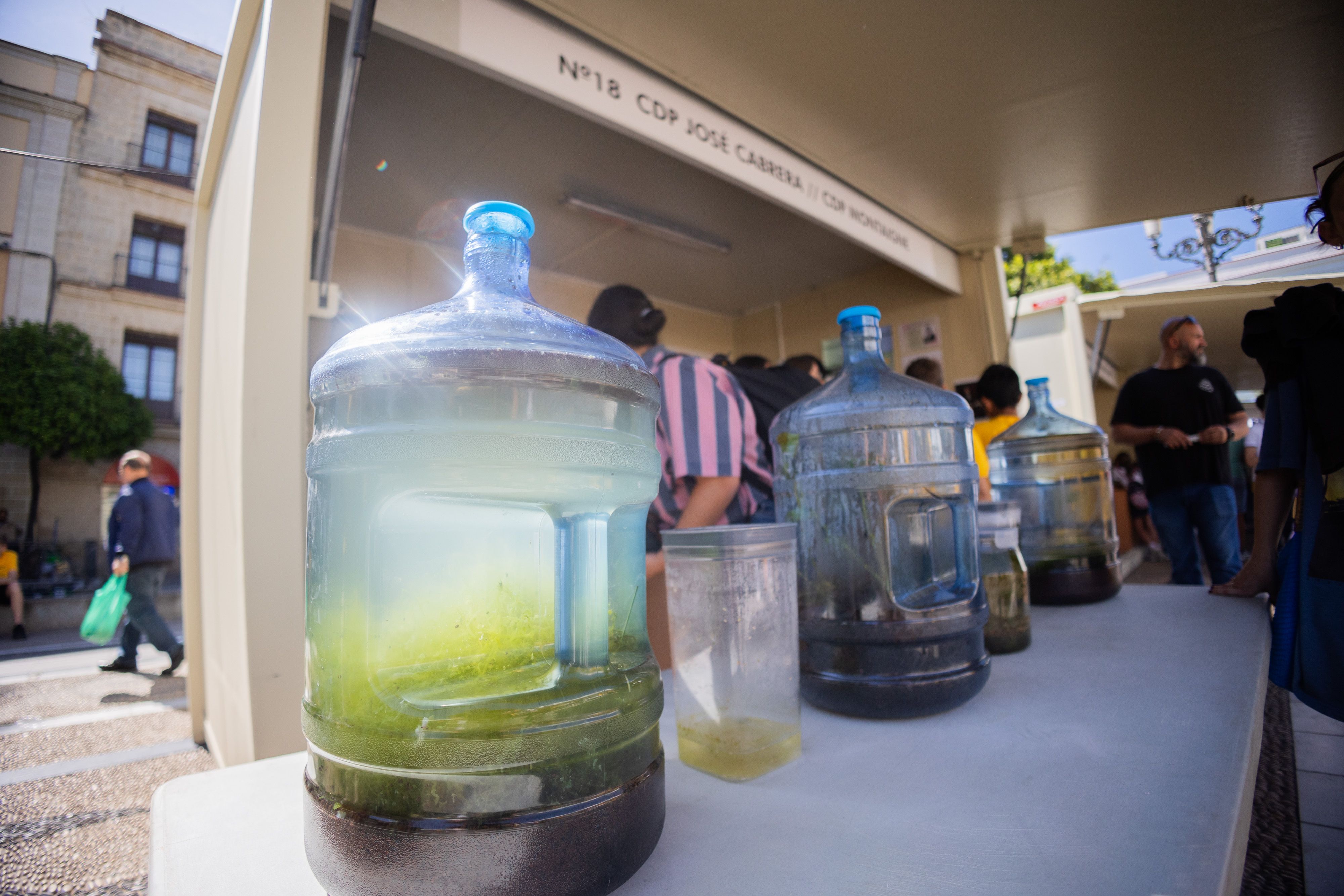 XII Feria de la ciencia en Jerez