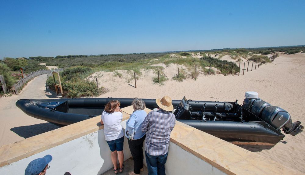 Narcolancha valdelagrana 