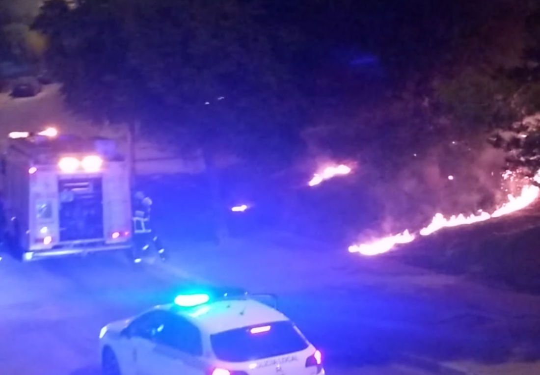 El incendio, cuando estaba quemando material orgánico. 