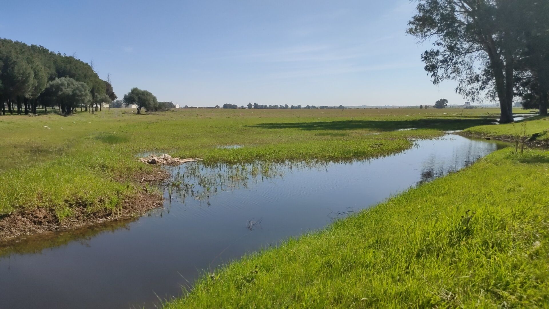 Los terrenos sobre los que se edifica la nueva 'Sevilla Este', en imágenes de los ecologistas.