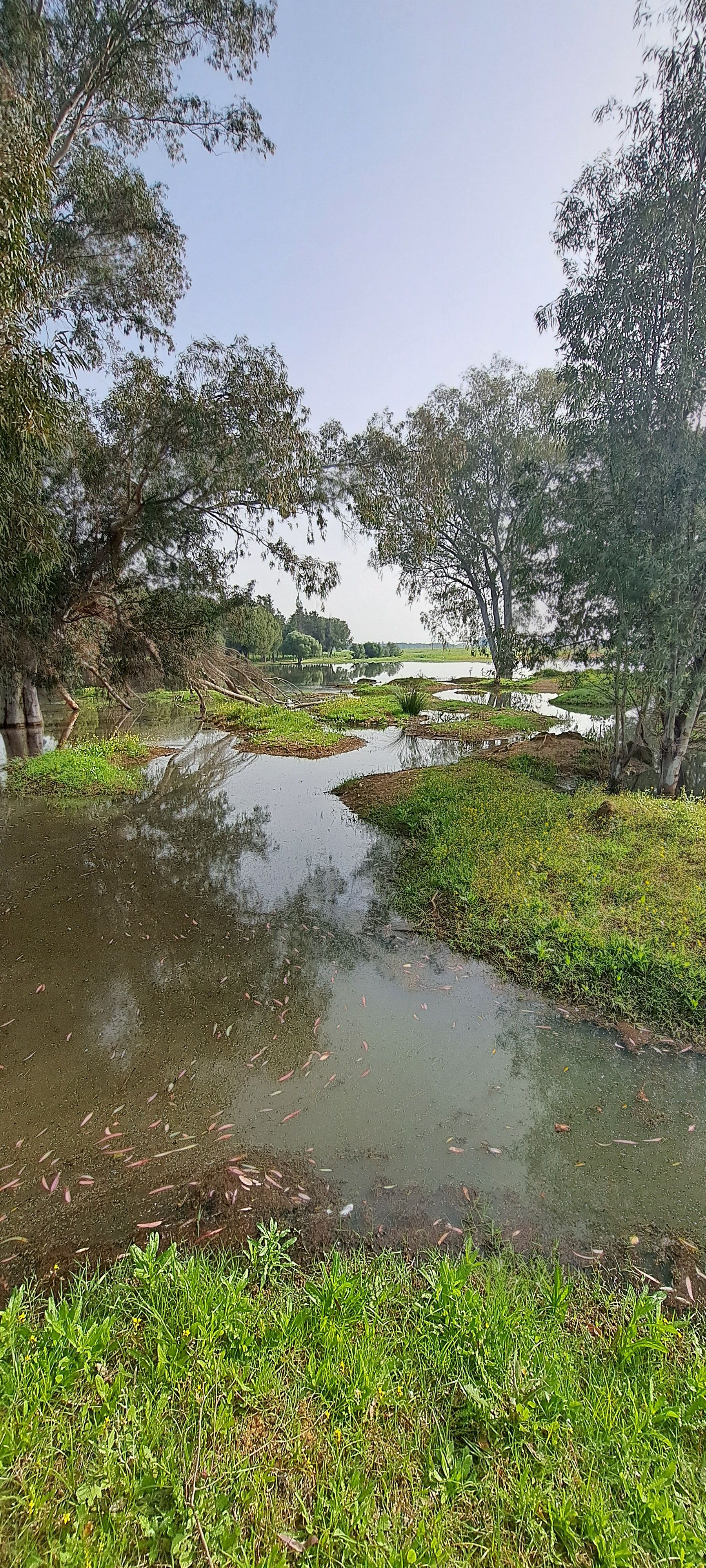 Los terrenos sobre los que se edifica la nueva 'Sevilla Este', en imágenes de los ecologistas.