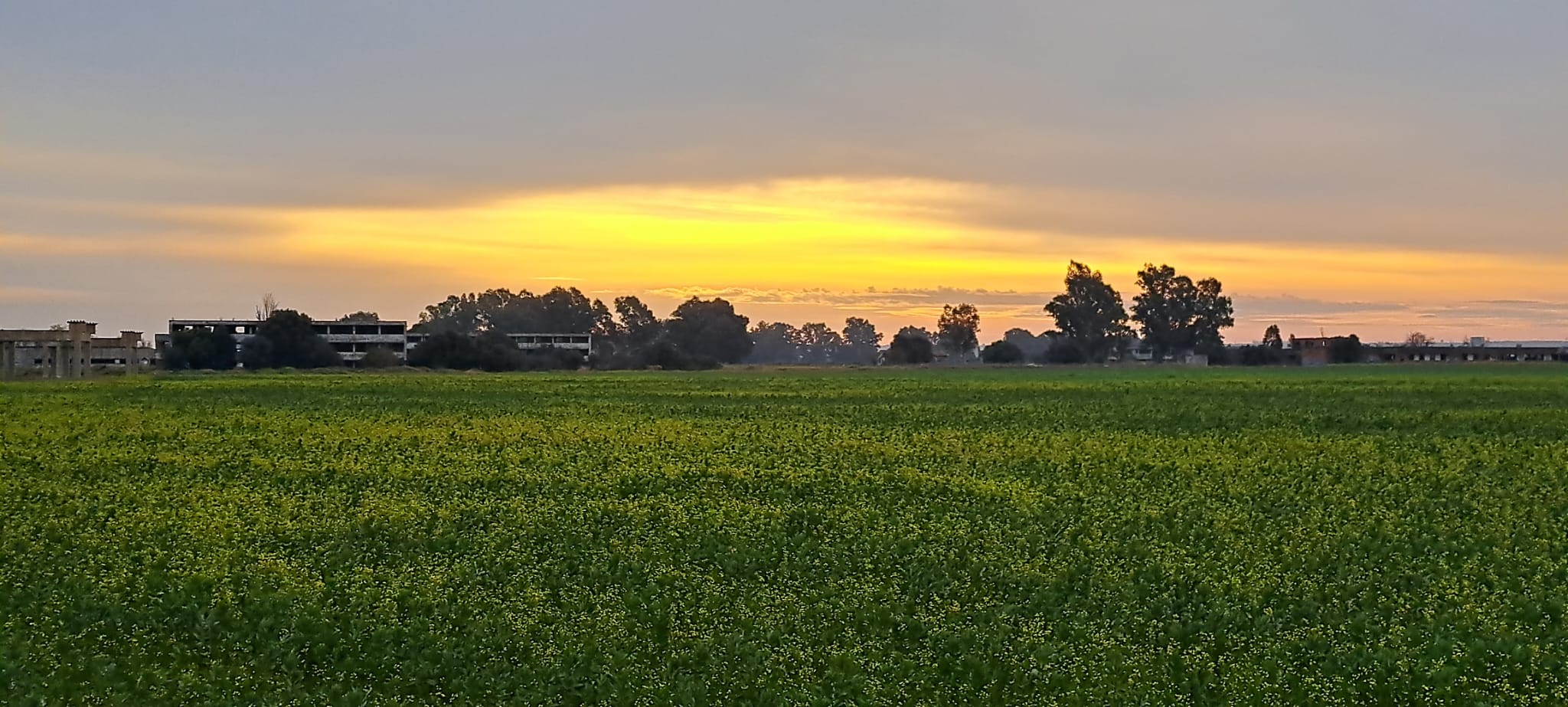 Los terrenos sobre los que se edifica la nueva 'Sevilla Este', en imágenes de los ecologistas.
