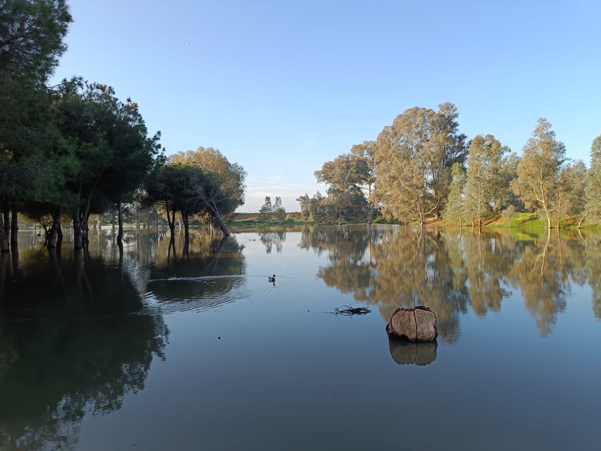 Los terrenos sobre los que se edifica la nueva 'Sevilla Este', en imágenes de los ecologistas.